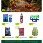 Al Meera camping and outdoor gear featuring BBQ grills, charcoal, camping stoves, and shower tents.