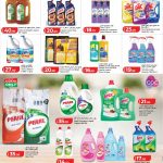 Lulu Hypermarket Cleaning Products Sale Qatar - Dettol, Harpic, Glade, Pearl, Apex, Clorox