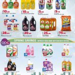Rawabi Hypermarket cleaning supplies and laundry detergent offers