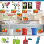 Cleaning equipment and home decor flyer featuring Scotch Brite mops, Vileda brooms, and Italo simulation trees.