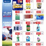 Carrefour household cleaning and dishwashing essentials promotional flyer with laundry detergents dish liquid and paper towels