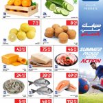 Fresh food market flyer showing fresh oranges cucumbers sea bream fish salmon steaks and fresh raw beef cuts