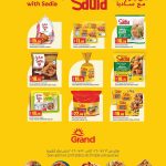 Sadia frozen chicken and burger products discount at Grand Hyper