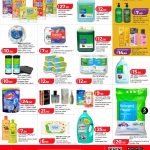 Household essentials leaflet showing baby diapers fabric softener garbage bags facial tissues dishwashing liquid and laundry detergent powder