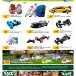 Al Meera Qatar Discounts on Remote Control Cars, Stunt Vehicles, and Swing Wheelz Kids Cars.